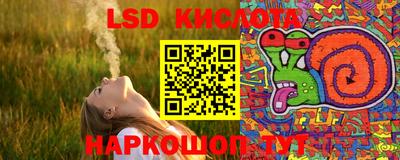 сатива Моздок