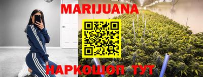 сатива Моздок
