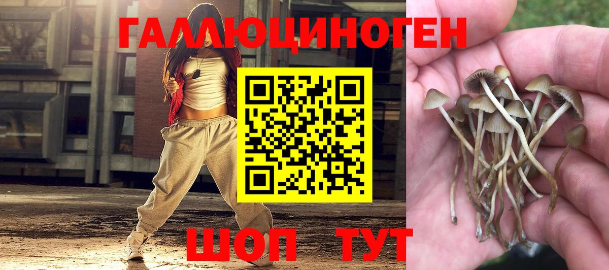 Галлюциногенные грибы мицелий Дедовск