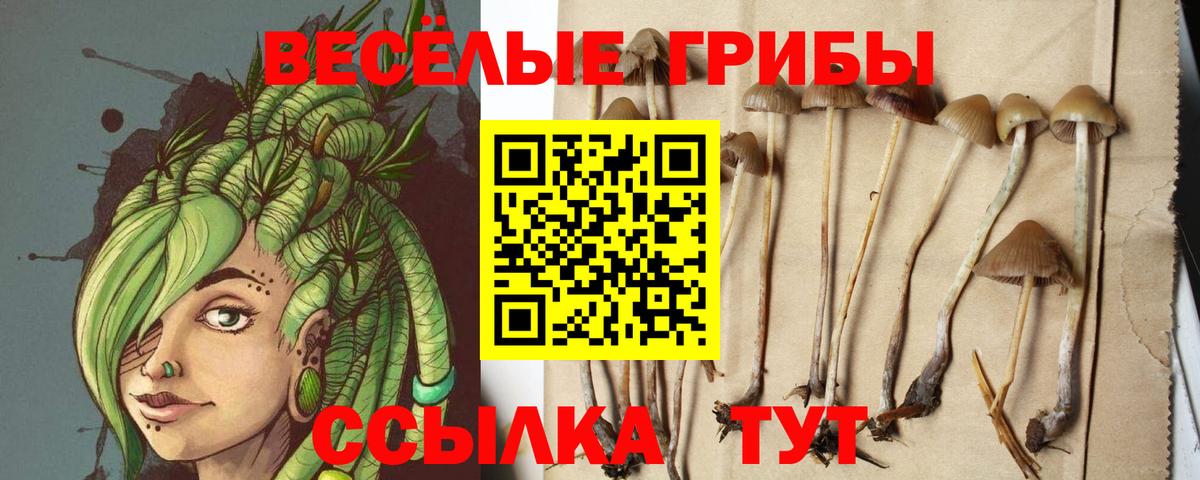 что такое   Псилоцибиновые грибы мухоморы  Вход с VPN  Псилоцибиновые грибы MAGIC MUSHROOMS  Дедовск 